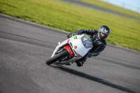 PJ-Motorsport-2019;anglesey-no-limits-trackday;anglesey-photographs;anglesey-trackday-photographs;enduro-digital-images;event-digital-images;eventdigitalimages;no-limits-trackdays;peter-wileman-photography;racing-digital-images;trac-mon;trackday-digital-images;trackday-photos;ty-croes